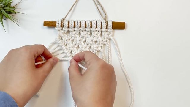 [포실마크라메]이오난사 플랜트행거kit смотреть онлайн
