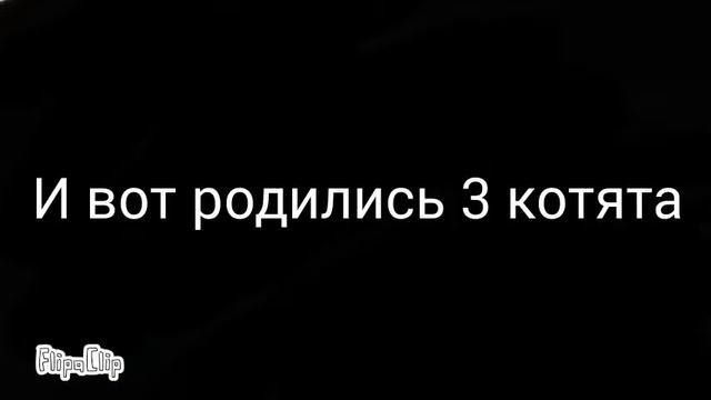 Роды Искролистой! смотреть онлайн