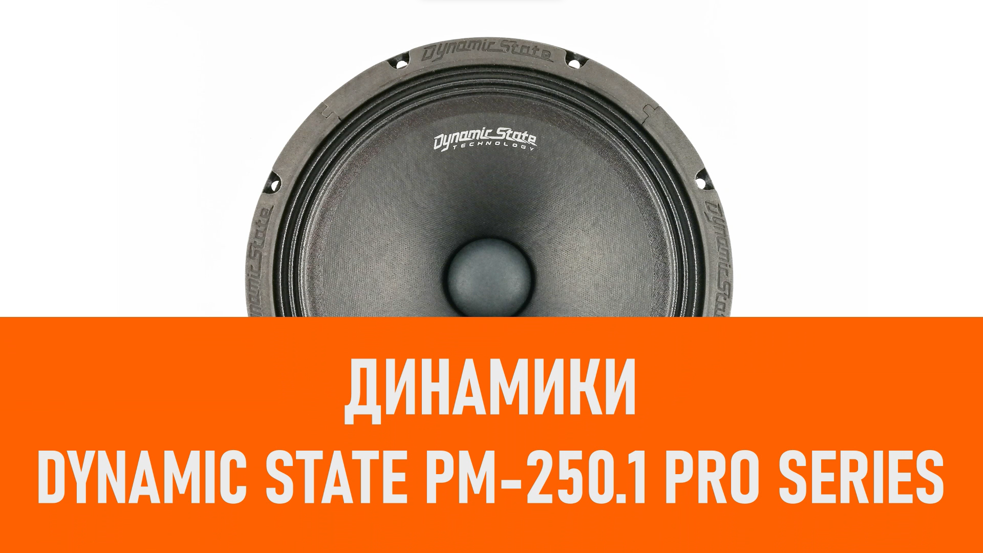 Распаковка динамиков Dynamic State PM-250.1 PRO Series смотреть онлайн