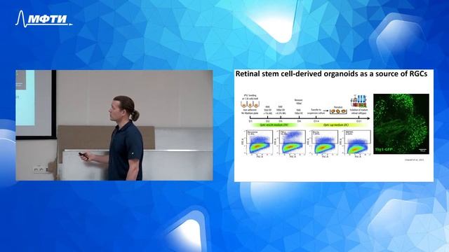 Стволовые клетки и органоиды–оптимальный материал для клеточной терапии сетчатки и зрительного нерв смотреть онлайн