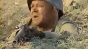 Да он же пьяный собака