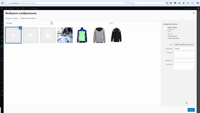 Как добавить иконки в меню Wordpress смотреть онлайн