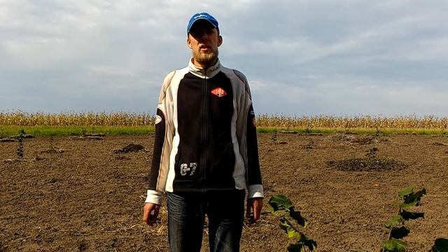 Продажа фундука осень 2017 смотреть онлайн