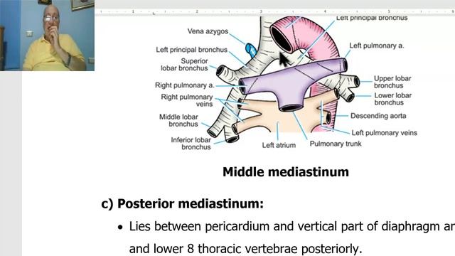 Anatomy CVS Module in English 18 ( Inferior mediastinum) , by Dr, Wahdan смотреть онлайн