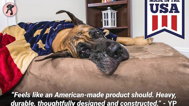 5 Best Dog Beds for Large Dogs You Can Buy! смотреть онлайн