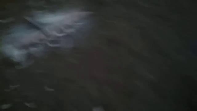 Процесс сборки опалубки цокольной лестницы смотреть онлайн