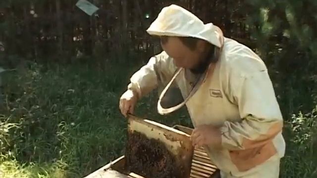 Молодежное подворье (часть 5) - семья Перепелкиных смотреть онлайн
