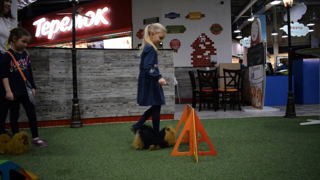 Doggy-sitter - уникальная профессия в КидБурге смотреть онлайн