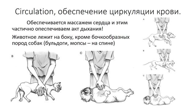 Занятие №5.mkv