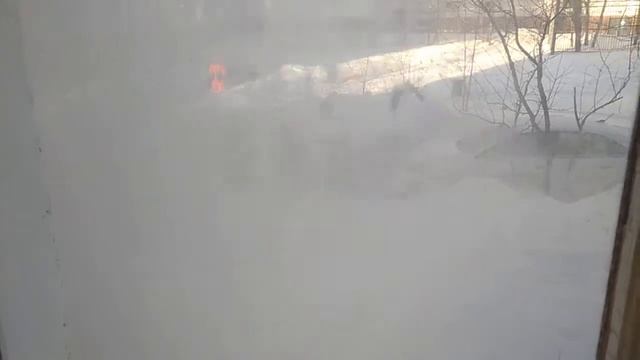 Замуровали ❄?⛄. Как убирают снег московские дворники смотреть онлайн