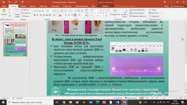 Древняя ДНК осетрообразных бассейна Балтийского моря смотреть онлайн
