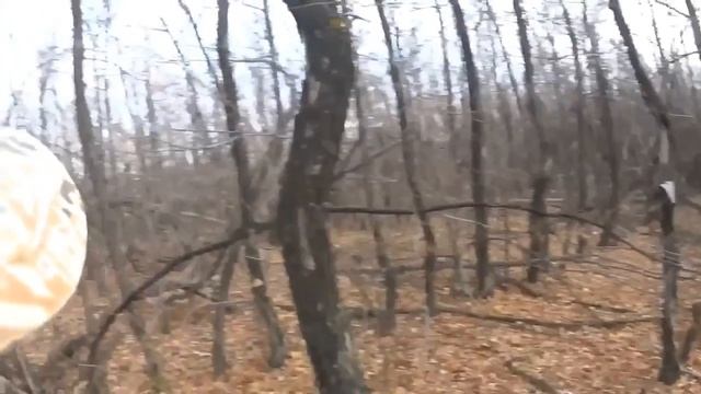 Охота на зайцев - Девять выстрелов.mp4 смотреть онлайн