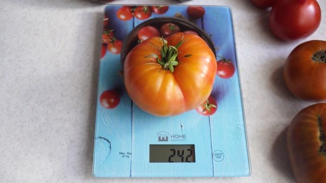Томат Страйпд Герман (Striped German). Вкусный томат биколор! смотреть онлайн