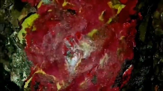 Радужная река в Колумбии которая шокирует своей красотой... смотреть онлайн