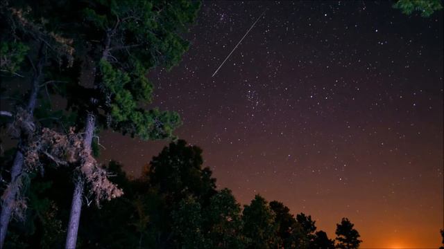 Мандельштам, который назло всем твердит „нет! нет! нет!