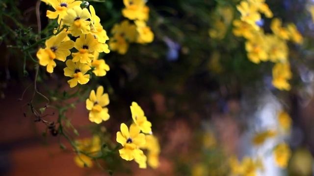 Какая же Мудрость в словах старца Фаддея! О родителях, о муже и жене, о правильной молитве. смотреть онлайн