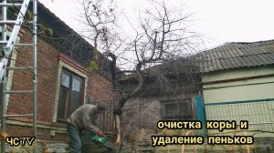 Обрезка ЗАПУЩЕННОЙ вишни или как обрезать СТАРУЮ вишню? Пошаговая помощь.