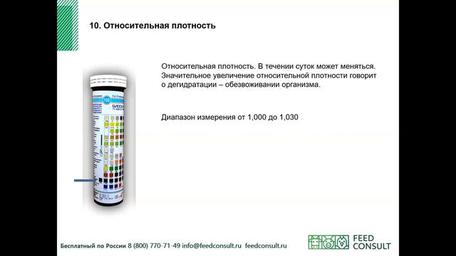 Свиноматки и тест полоски на мочу смотреть онлайн