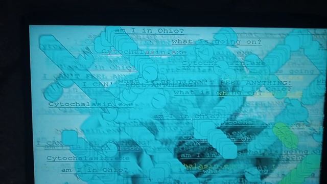 Cytochalasin.exe on a real PC! смотреть онлайн