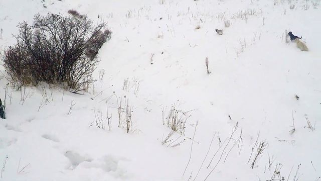 Сезон охоты продолжается: 2018 смотреть онлайн