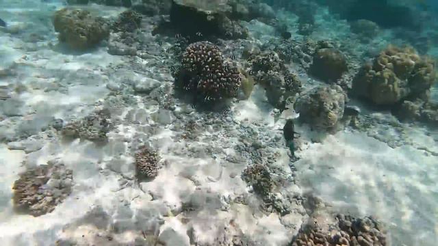 18+ ШОК! МУЖ ЗАСТУКАЛ НА МАЛЬДИВАХ 2019 | ОТДЫХ МАЛЬДИВЫ КУРОРТ Jumeirah Vittaveli | смотреть онлайн