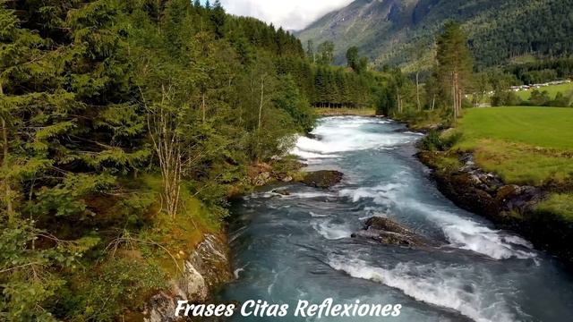 ÁMATE Hasta Que OLVIDES por que NO Lo Hacías. Reflexiones, Amor propio смотреть онлайн