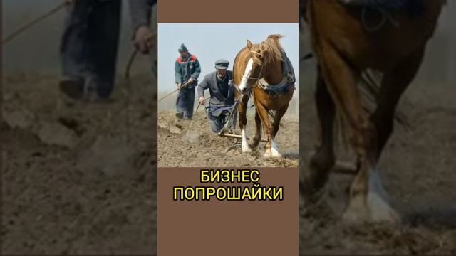 Раджаб Гимбатов и его территория правды о бизнесе попрошаек. Бизнес, который построен на нашем дове смотреть онлайн