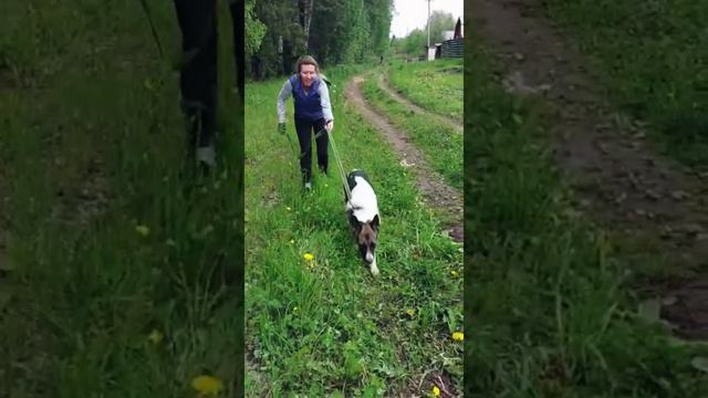 Большая воскресная прогулка смотреть онлайн