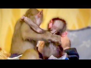 Люся со Степашкой ОБНЯЛИСЬ и пришли к папе Владу поговорить)))