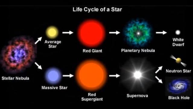A star's lifecycle || Stellar evolution in a nutshell смотреть онлайн