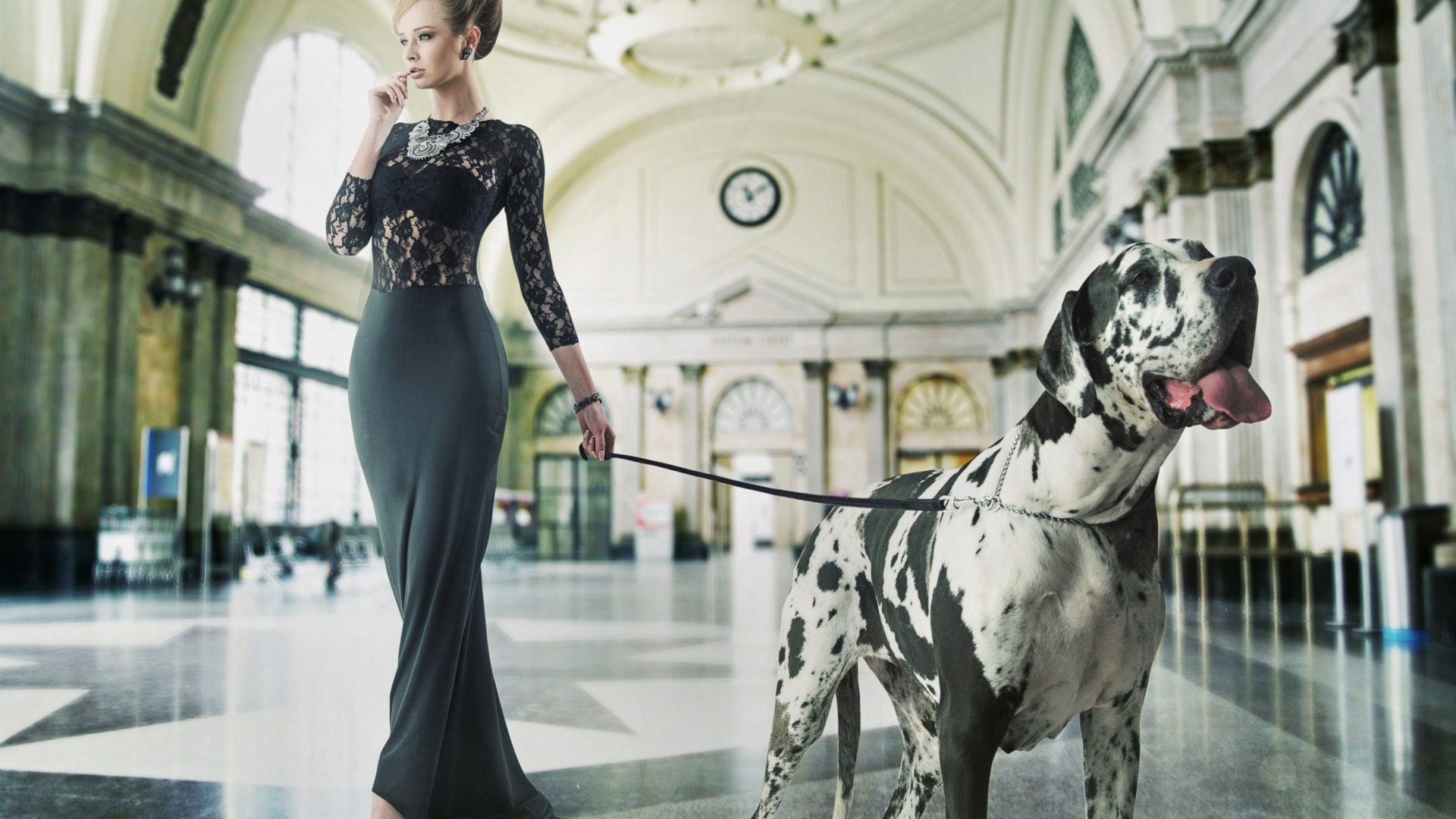 Дама с собачкой Михаила Шестова. The Lady with the dog by Michael Shestov. смотреть онлайн