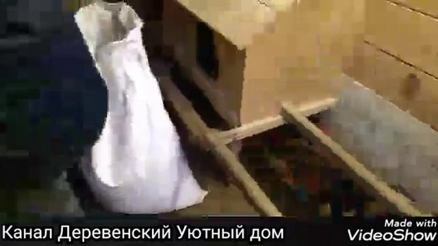 Боюсь ходить в курятник!!!! Неадекватный петух!!! 😱😱😱