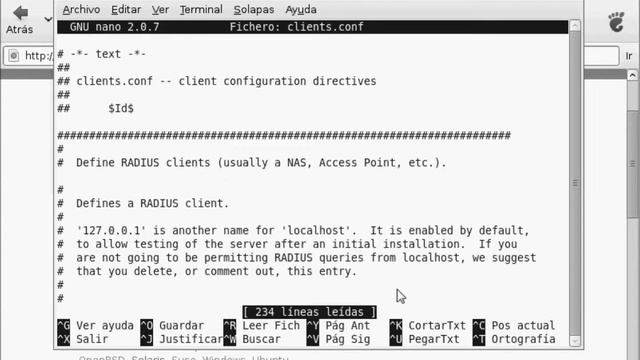 Videotutorial - Instalación y configuración de Freeradius en Linux Debian (Parte 2) смотреть онлайн
