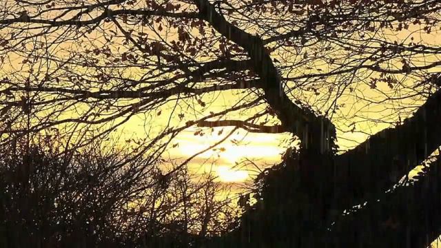 Vietnam Mekong Riverside Sunset Rain Sound Thunder смотреть онлайн