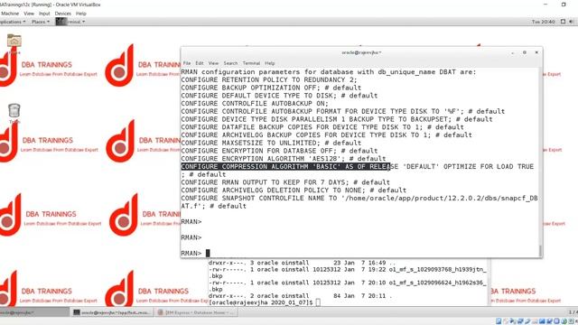 RMAN Maintenance commands смотреть онлайн