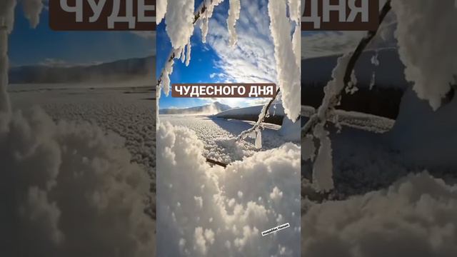 Пожелания с Добрым утром смотреть онлайн
