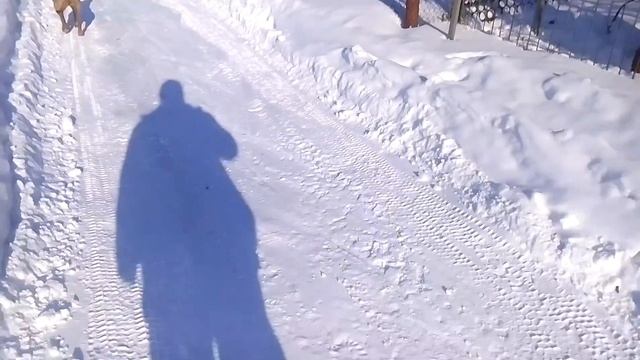 Цепи на мини тракторе в работе смотреть онлайн