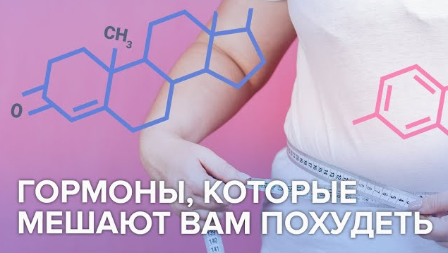 Грелин и лептин – гормоны, которые мешают вам похудеть. Как их контролировать?