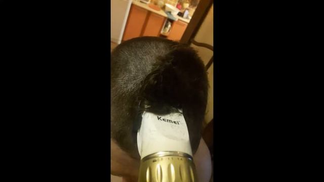 Машинка Kemei для стрижки волос с aliexpress смотреть онлайн