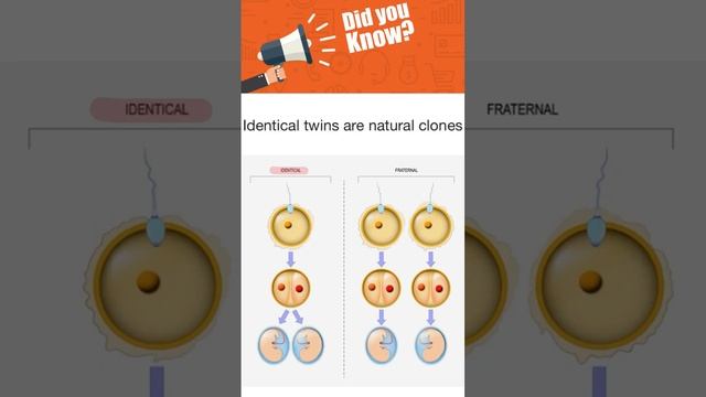 Are identical twins clones? смотреть онлайн