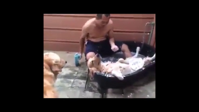 Жизнь удалась ;)) смотреть онлайн