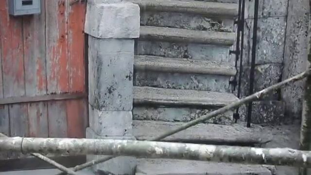 Mural Impreso en Vinilo ORACAL mate al SOLVENTE para exterior :: DOMO смотреть онлайн