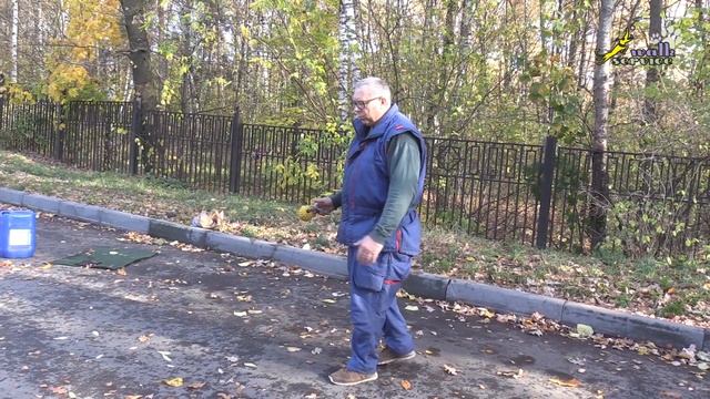 Частая ошибка убирание руки с мячом за спину в фазе преследования, немецкая овчарка смотреть онлайн