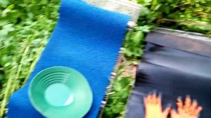 Гости на ручье.