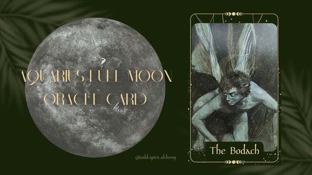 Aquarius Full Moon Oracle Card смотреть онлайн