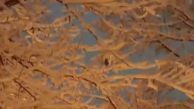 Снежный этюд. Краснодар смотреть онлайн