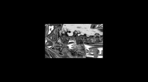 Как узнать номер водительского удостоверения по фамилии