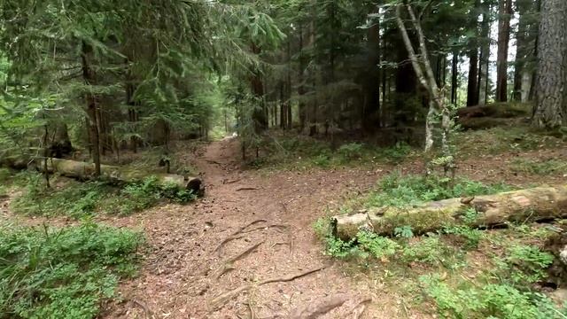 Ястребиное озеро (Карелия)