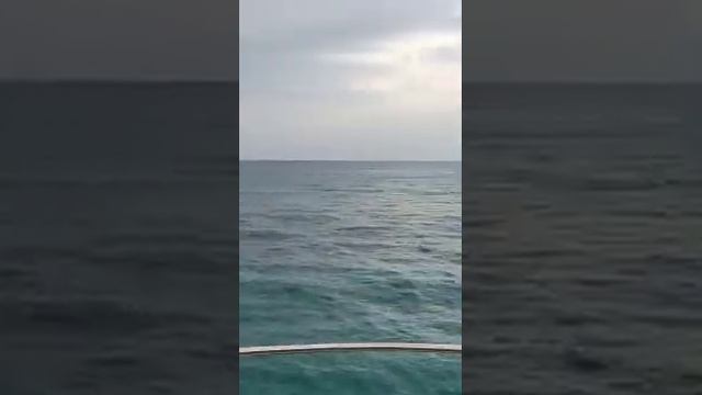 Отдых на Ибице — отличное решение для смотреть онлайн