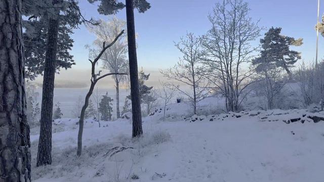 Relaxing Snowy Walk In Stockholm, Sweden, 4K UHD Binaural Sounds